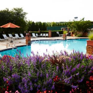 Eagle's Landing pool